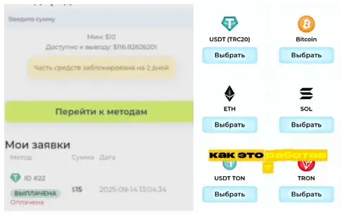 aivex телеграм aivex телеграм