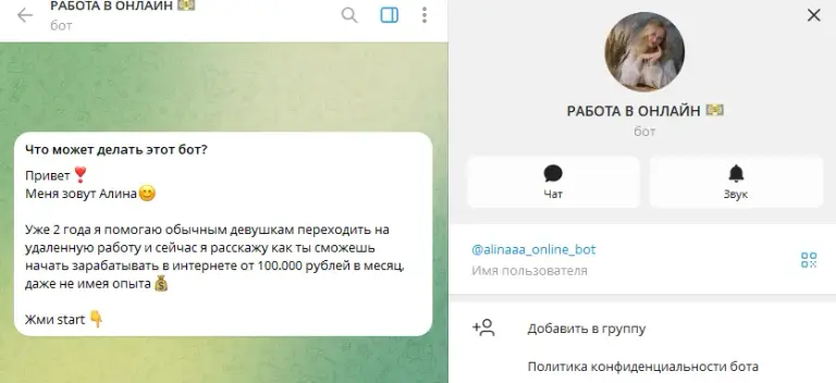alinaaa online bot alinaaa online bot