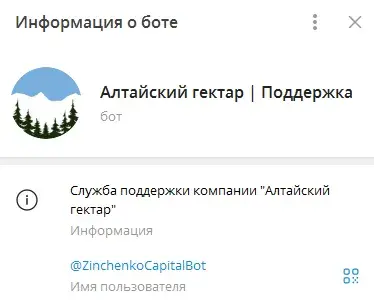 zinchenko capital