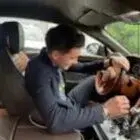 Андрей Карпов — отзывы и рейтинг