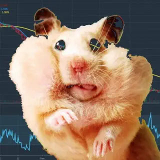Биржа Деньги Хомяки — отзывы и рейтинг
