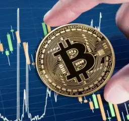 Bitflux — отзывы и рейтинг