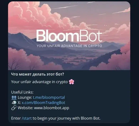 bloom solana bot bloom solana bot