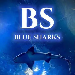 Blue Sharks — отзывы и рейтинг