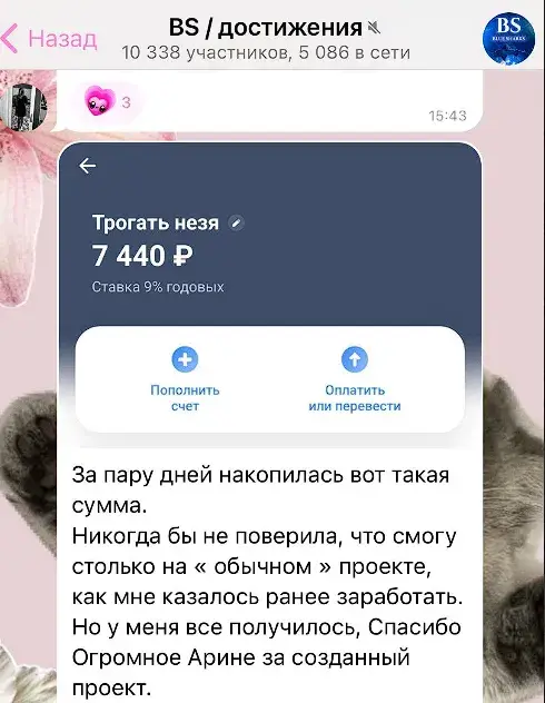 проект blue sharks отзывы