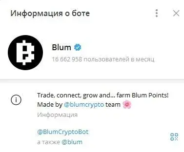 blumcrypto cis chat blumcrypto cis chat