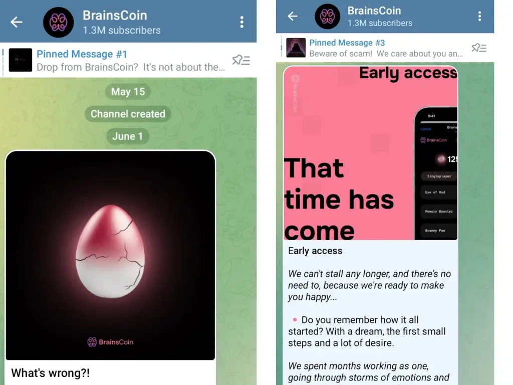 Brains Coin Brains Coin