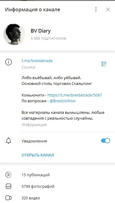bv diary отзывы