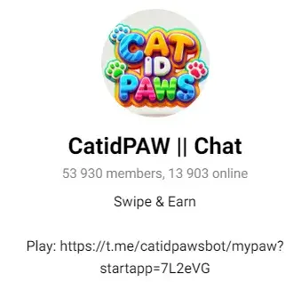Cat Id Paws daily combo