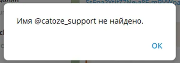 Catoze отзывы Catoze отзывы