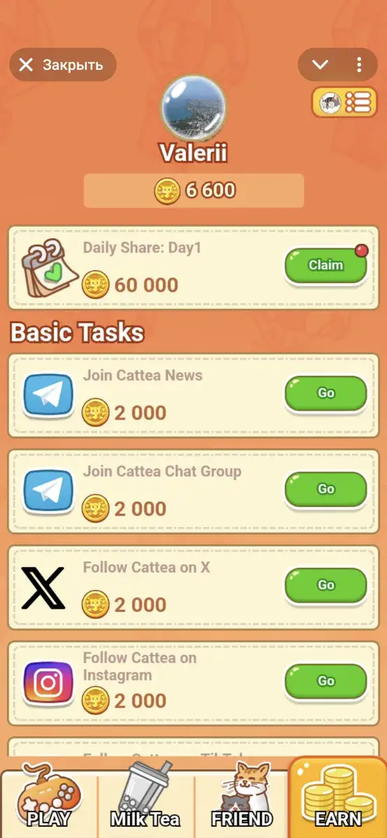 cattea гайд cattea гайд