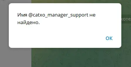 catxo отзывы catxo отзывы
