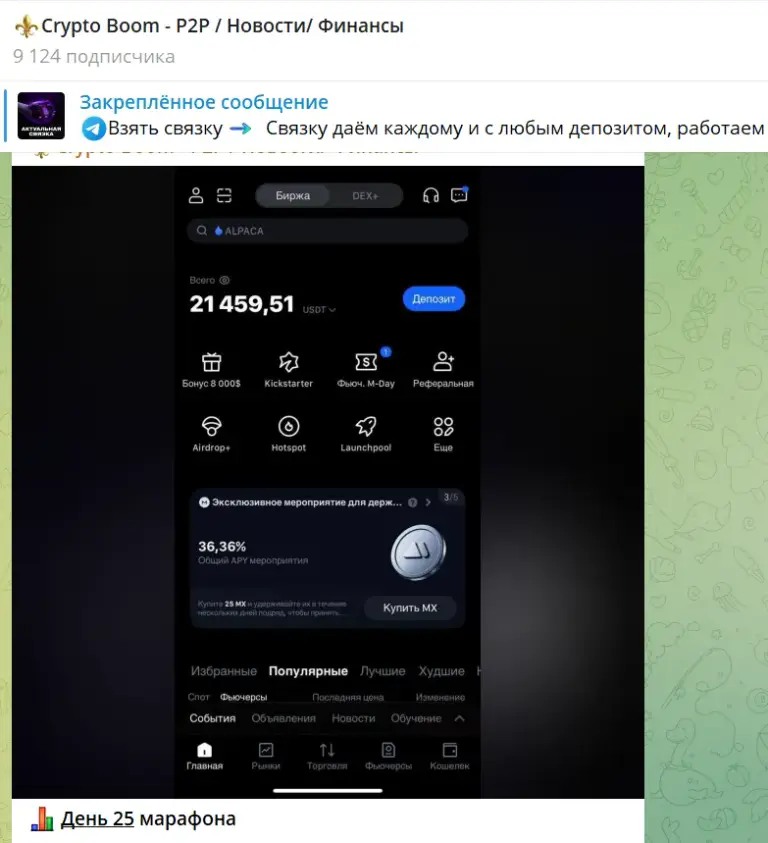 crypto boom crypto boom