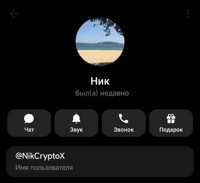 дарья титова crypto дарья титова crypto