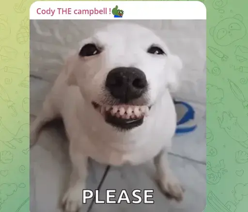 dogeparty wallet отзывы