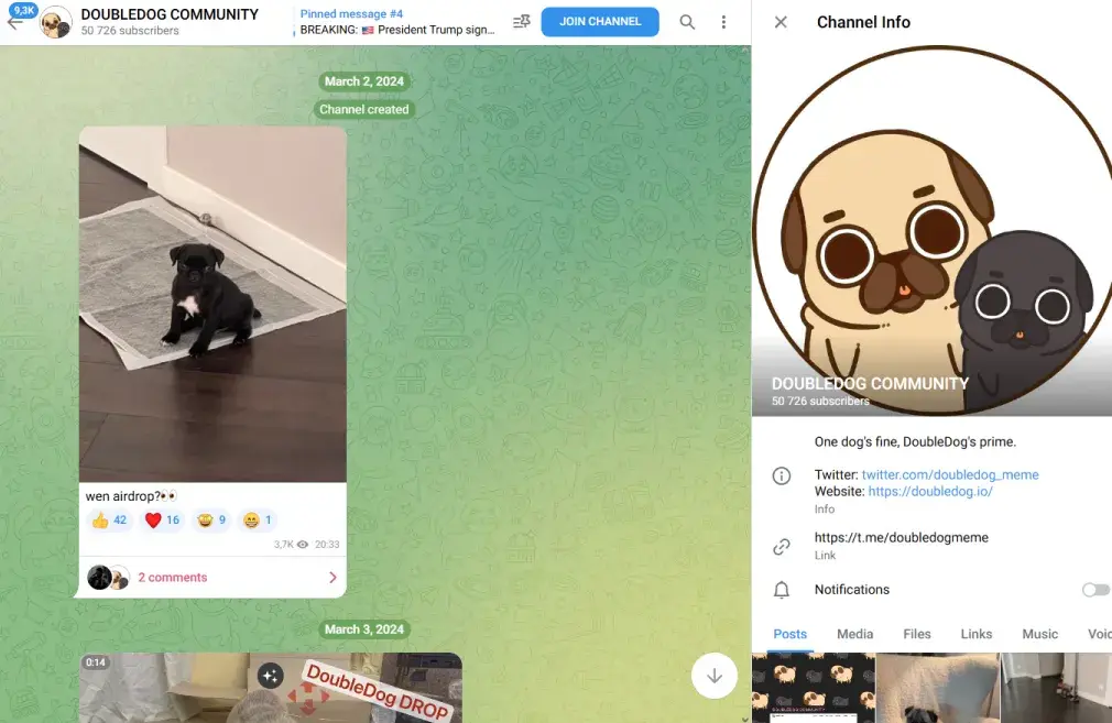 doubledogmeme