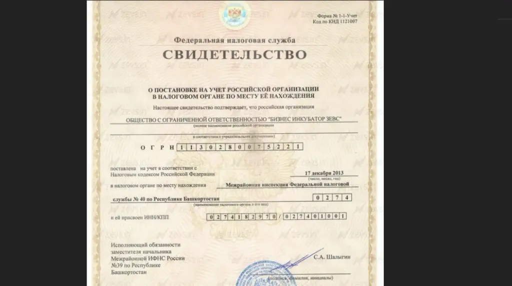 екатерина фетисова инвестиции