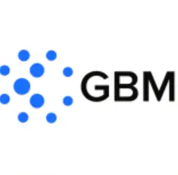 Gbm Securities — отзывы и рейтинг