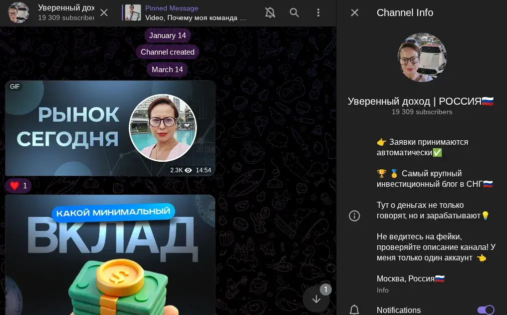 investludmila investludmila
