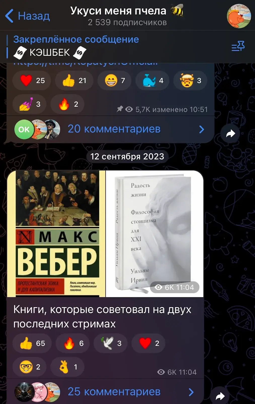 Проект KopatychChannel Проект KopatychChannel