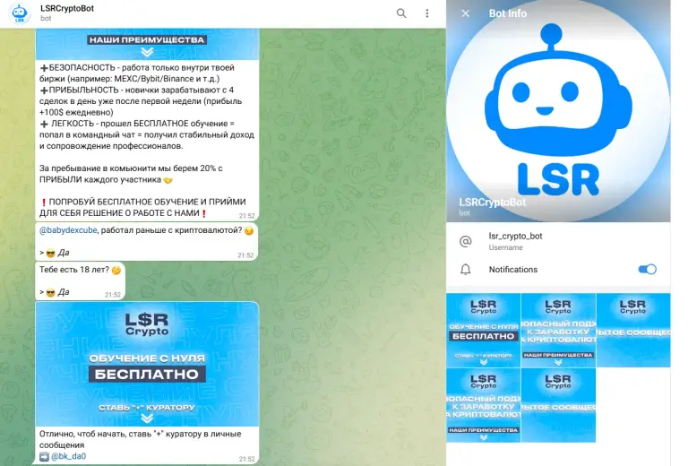 lsrcryptobot lsrcryptobot