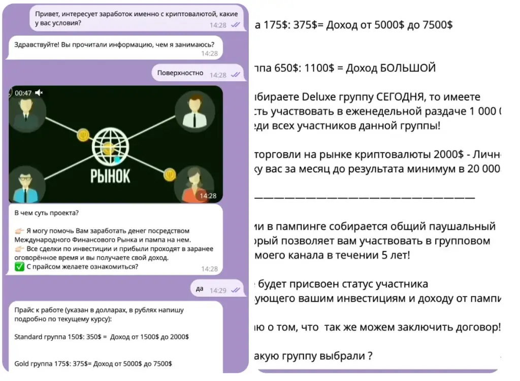 racoon macoon отзывы racoon macoon отзывы