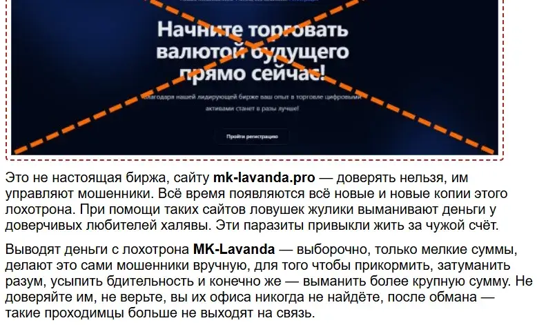 mk lavanda mk lavanda