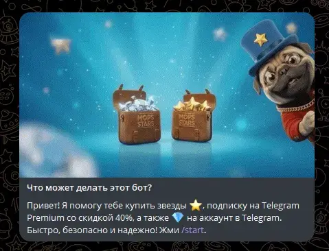 мопс старс отзывы