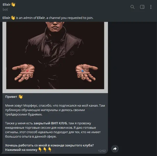 morpheus elixir трейдер