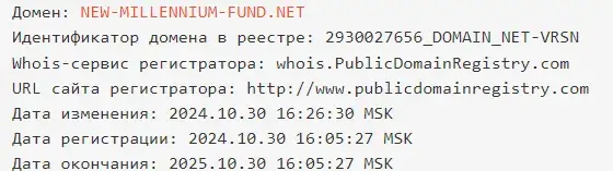 new millennium fund