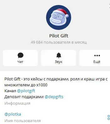 pilot gift отзывы