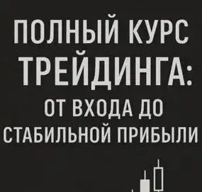 Светлана Линн — отзывы и рейтинг
