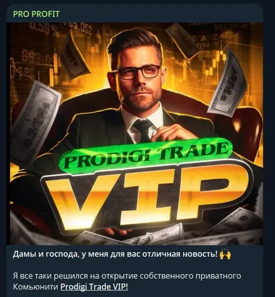 PRO PROFIT PRO PROFIT