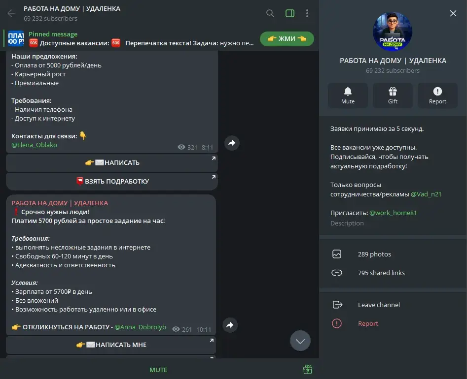тг канал удаленка на дому отзывы