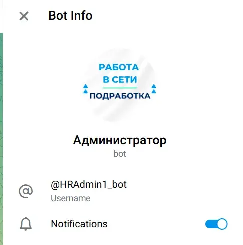 rabotavseting отзывы