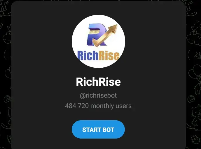 rich rise отзывы заработок