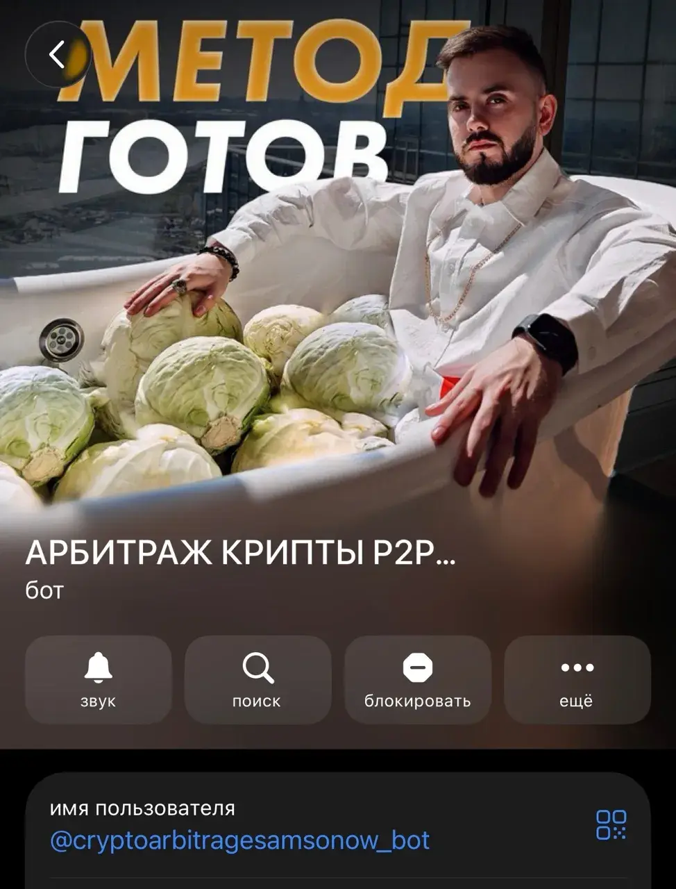 самсонов дмитрий мошенник самсонов дмитрий мошенник