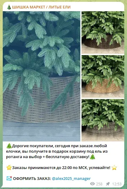 шишка маркет елки отзывы
