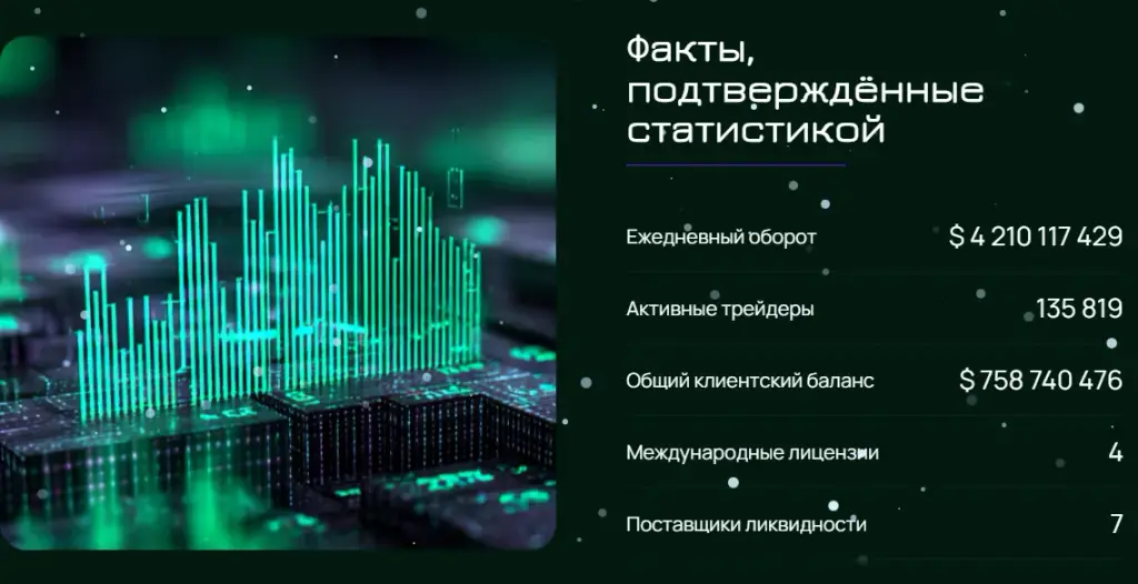 snowedin xyz отзывы