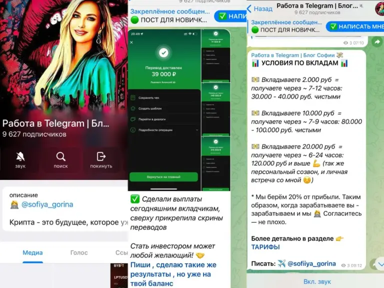 софия горина криптоинвестор софия горина криптоинвестор