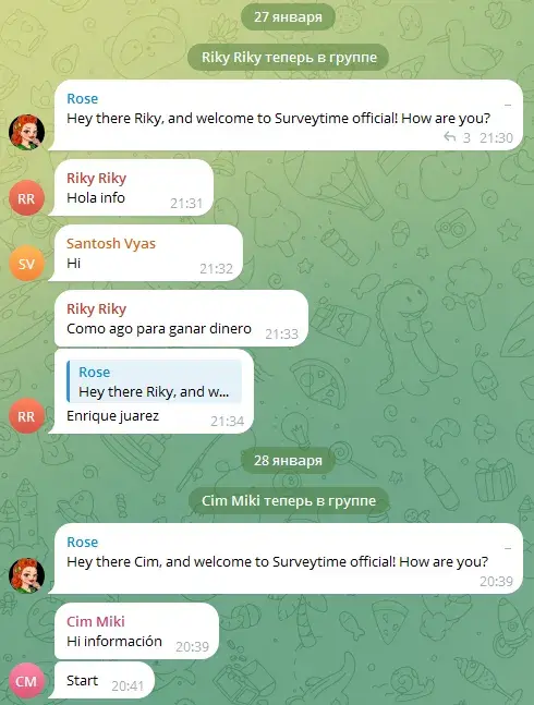 surveytime отзывы