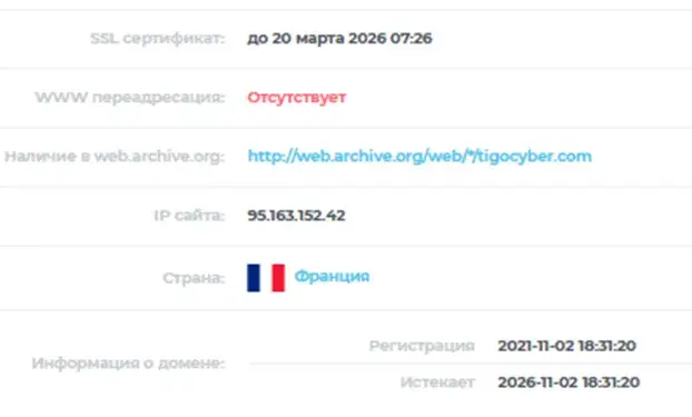 tigocyber support