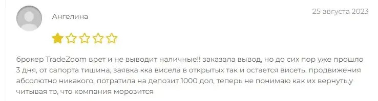 проект Trade Zoom проект Trade Zoom