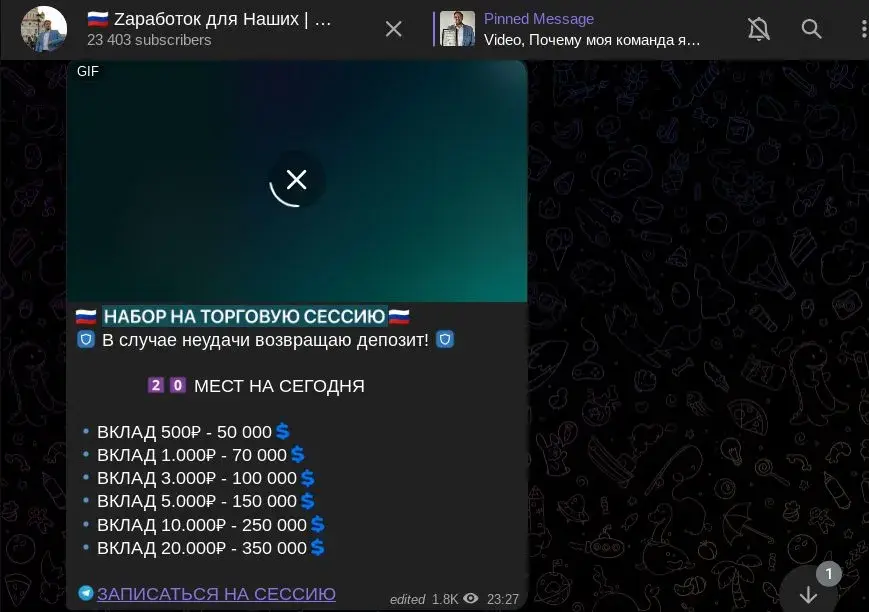 vladimir progress отзывы vladimir progress отзывы